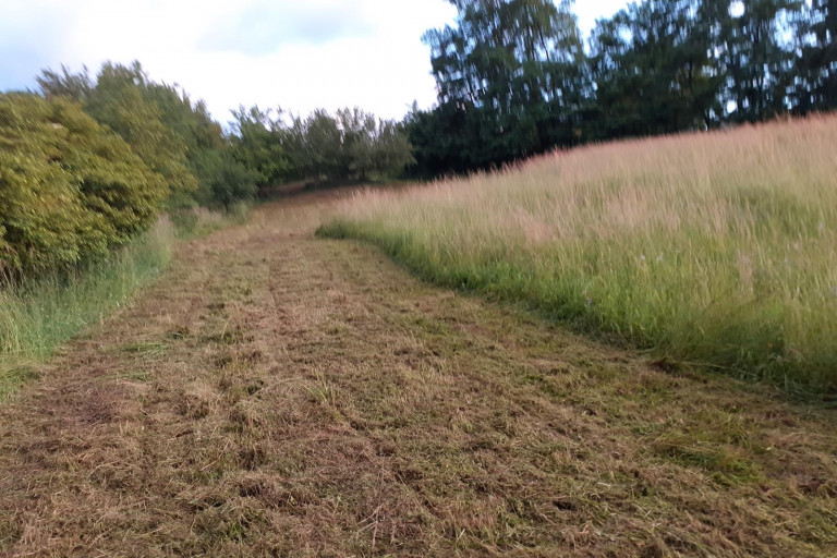 mowing_the_grass